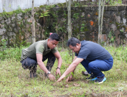 Dorong Budaya Tanam Pohon untuk Cegah Longsor di Aralle