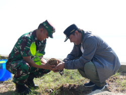 Buat Terumbu Karang Buatan dan Tanam Pohon, Sinergi Pemprov Sulbar-TNI AL Jaga Ekosistem Laut