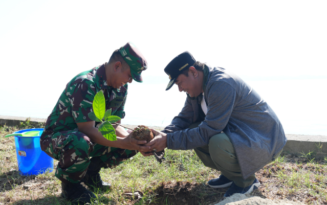 Buat Terumbu Karang Buatan dan Tanam Pohon, Sinergi Pemprov Sulbar-TNI AL Jaga Ekosistem Laut