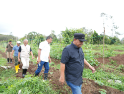 Pj Bahtiar Dorong Warga Sulbar Menanam Hortikultura dalam Bentuk Massal