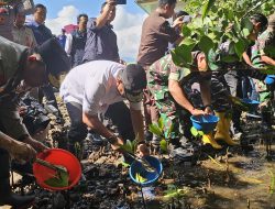 Dorong Ekspor Kepiting, Pj Gubernur Sulbar Tebar Benih di Hutan Mangrove