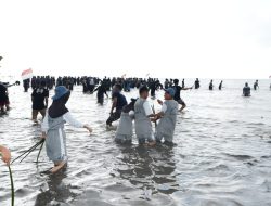 PJ Bahtiar Bersama Forkopimda dan Masyarakat Tanam 20 Ribu Mangrove di Pantai Ampallas