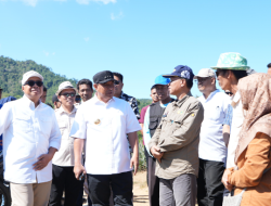 Berkunjung ke Kawasan Nenas Barru, Pj Bahtiar Yakin Sulbar Jadi Provinsi Mandiri Bidang Hortikultura