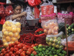 Harga Pangan: Beras, Cabai, dan Bawang Putih Mengalami Kenaikan