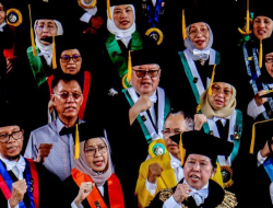 Dewan Guru Besar UI Desak DPR Hentikan Revisi UU Pilkada