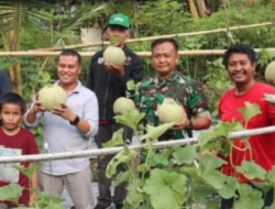 Dukung Ketahanan Pangan, Kodim Mamuju Kembangkan Hortikultura dan Program Makan Bergizi Gratis