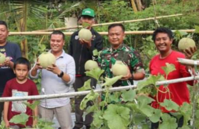 Kodim 1418/Mamuju di Provinsi Sulawesi Barat (Sulbar) mengembangkan pertanian hortikultura memanfaatkan lahan seluas 10 hektare, di Kecamatan Kalukku Kabupaten Mamuju, Jumat (23/8/2024) ANTARA Foto/HO/Humas Pemprov Sulbar