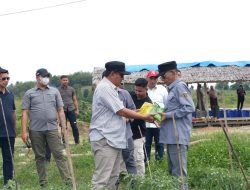 Sepulang dari Bulukumba, Pj Bahtiar Baharuddin Kunjungi Perkebunan Induk Hortukultura Batupanga Polman