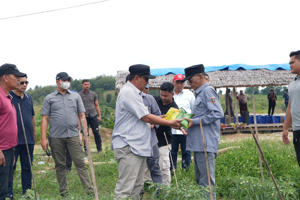 Pj Bahtiar Kunjungi Perkebunan Induk Hortukultura Batupanga Polman