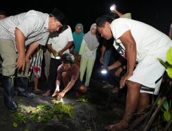 Tebar Kepiting Bakau di Hutan Bakau Sumare, Warga Apresiasi dan Dukung Program Pj Bahtiar