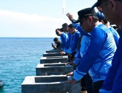 Pj Gubernur Sulbar Bahtiar Baharuddin Turunkan Artificial Reef di Teluk Mamuju