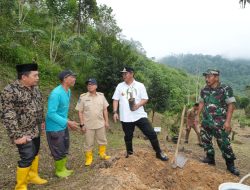 Pj Gubernur Sulbar Galakkan Penanaman Pohon Sukun di Enam Kabupaten