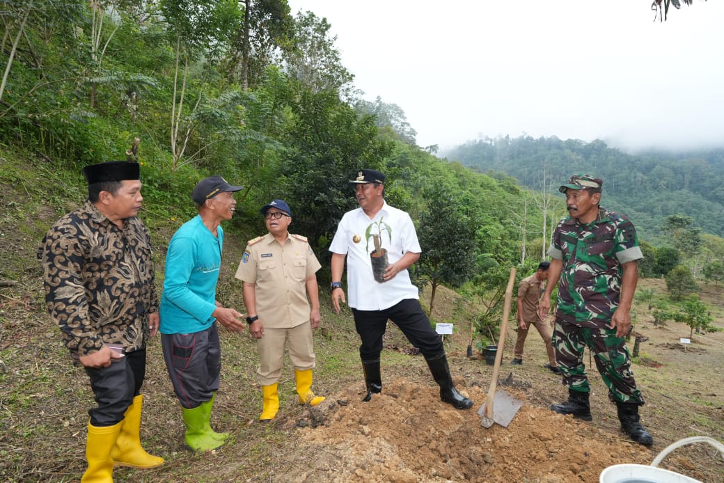 Pj Gubernur Sulbar Galakkan Penanaman Pohon Sukun di Enam Kabupaten