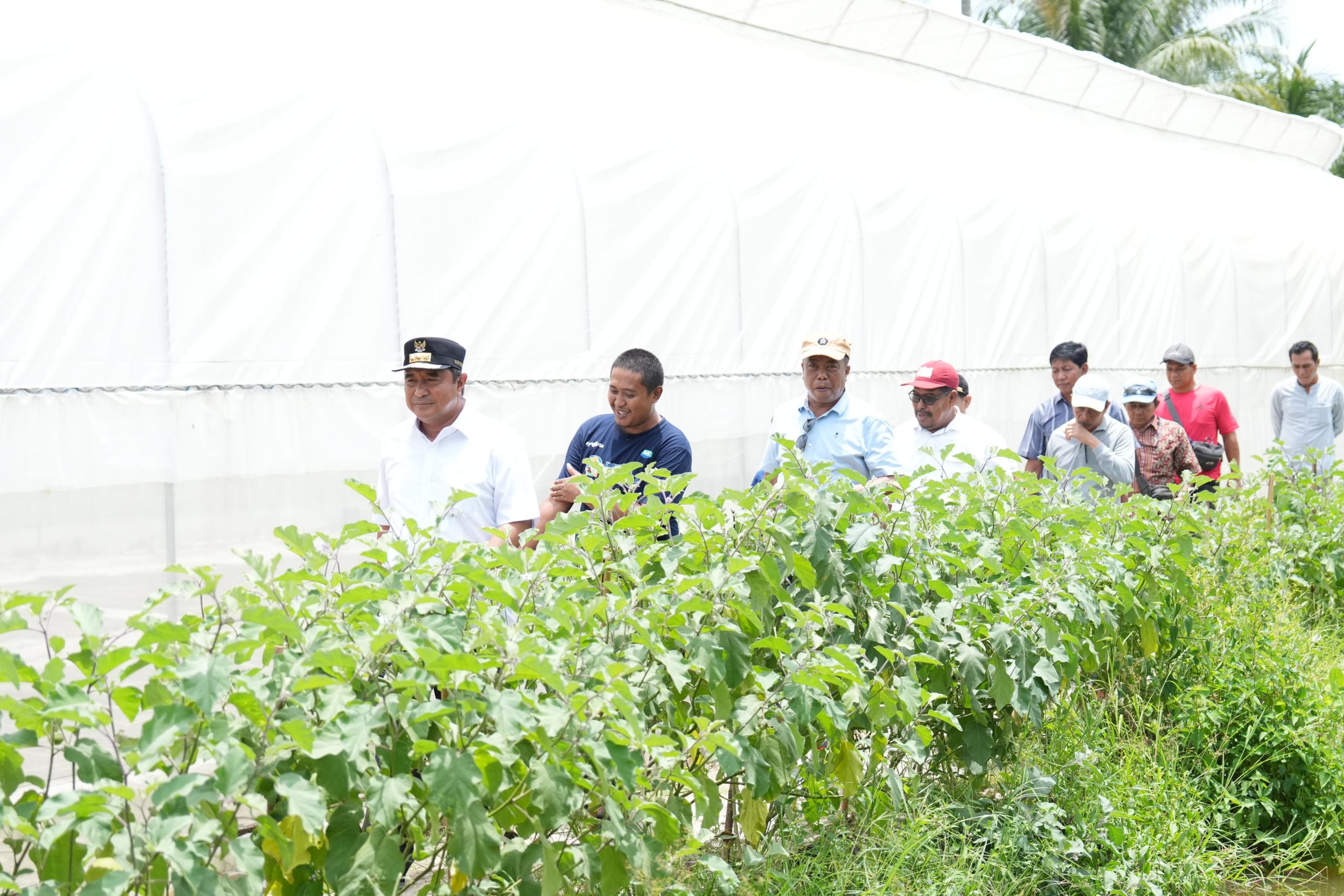 Temui Petani Sampaga, Pj Bahtiar Dorong Sulbar Miliki Brand Sendiri atas Produk Perkebunan