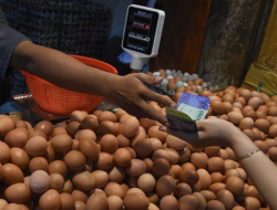 Harga Telur Ayam dan Bawang Merah Naik, Tren Kenaikan Pangan Berlanjut