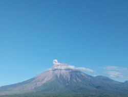 Gunung Semeru Erupsi Beruntun, Kolom Abu Capai 500 Meter di Atas Puncak