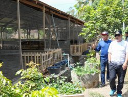 Kunjungi Tiga Lokasi, Pj Gubernur Sulbar Bahas Pengembangan Usaha Pertanian dan Peternakan