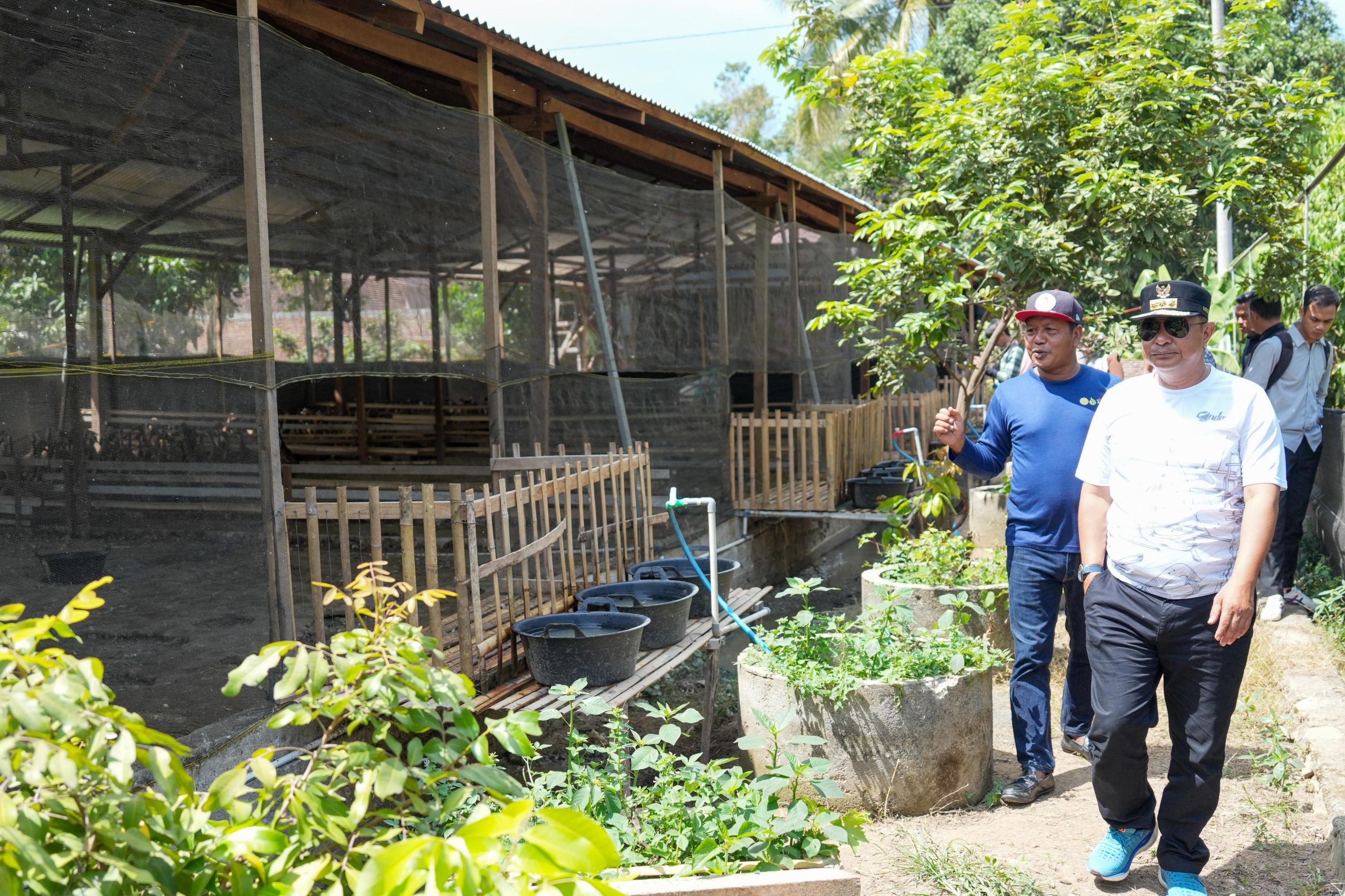 Pj Gubernur Sulbar Bahtiar Baharuddin Diskusi dengan Petani dan Peternak di Polman