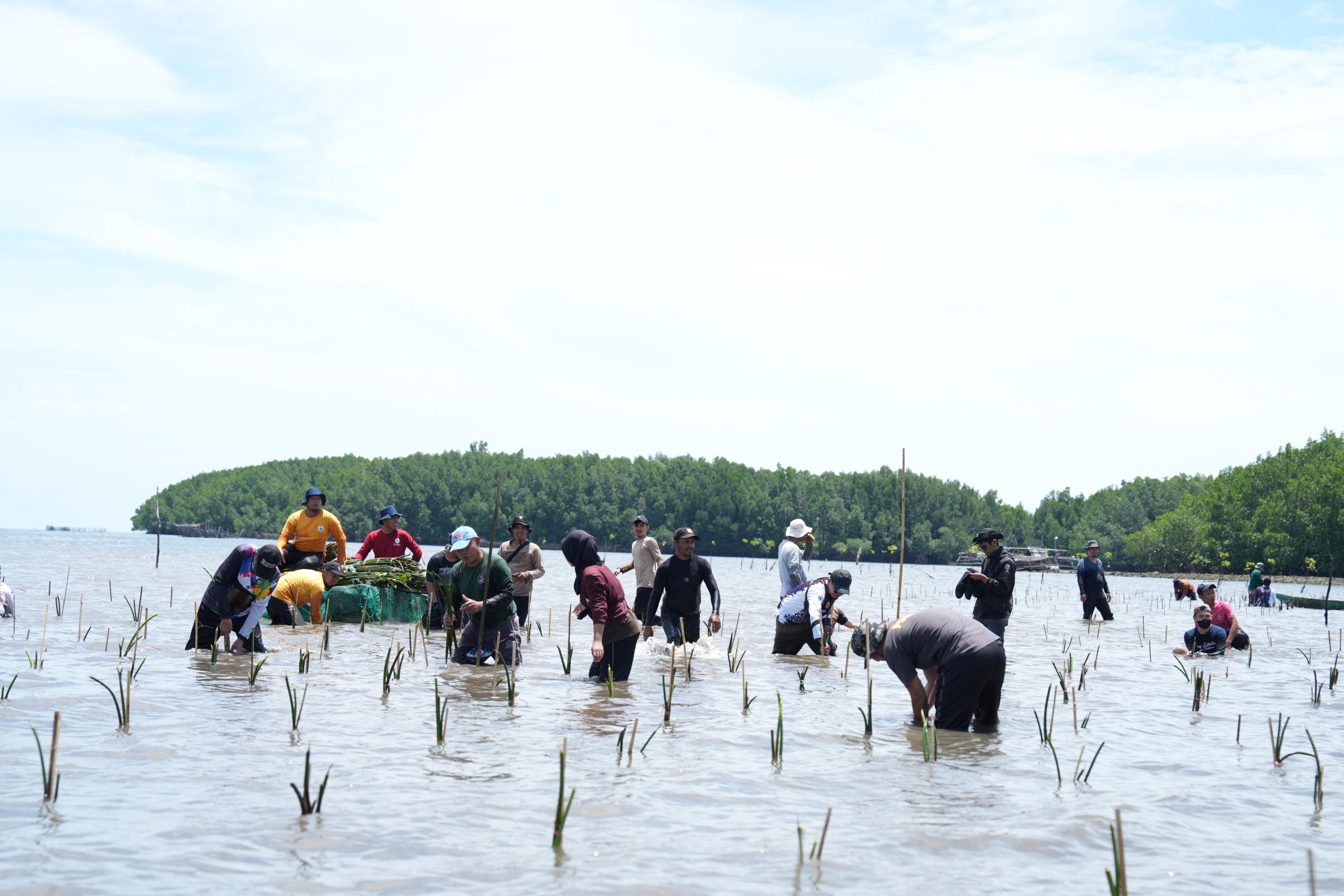 Dukungan PJ Gubernur Sulbar Hidupkan Kembali Wisata Mangrove di Bebanga