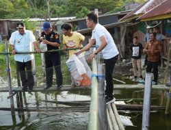 Pemuda Pelopor Gerakan Pangan Sulawesi Barat, Pj Bahtiar Serahkan Bantuan Bibit Nila, Sukun dan Cavendish