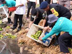 Persiapkan Ketahanan Pangan di Sulbar, Pj Bahtiar Bersama Kapolda Tebar Benih Kepiting di Mako Brimob