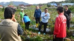 Wujudkan Swasembada Pangan, PJ Bahtiar Ingin Maksimalkan Pengelolaan Hortikultura di Nosu