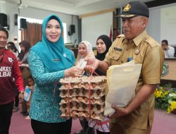 Terfasilitasi Modal dari Pemprov, Petani di Mateng Optimis Bisa Berhasil Kembangkan Pisang Cavendish