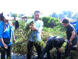 Pemprov Akan Bagi Bibit Hortikultura, Ini Imbauan Pj Bahtiar
