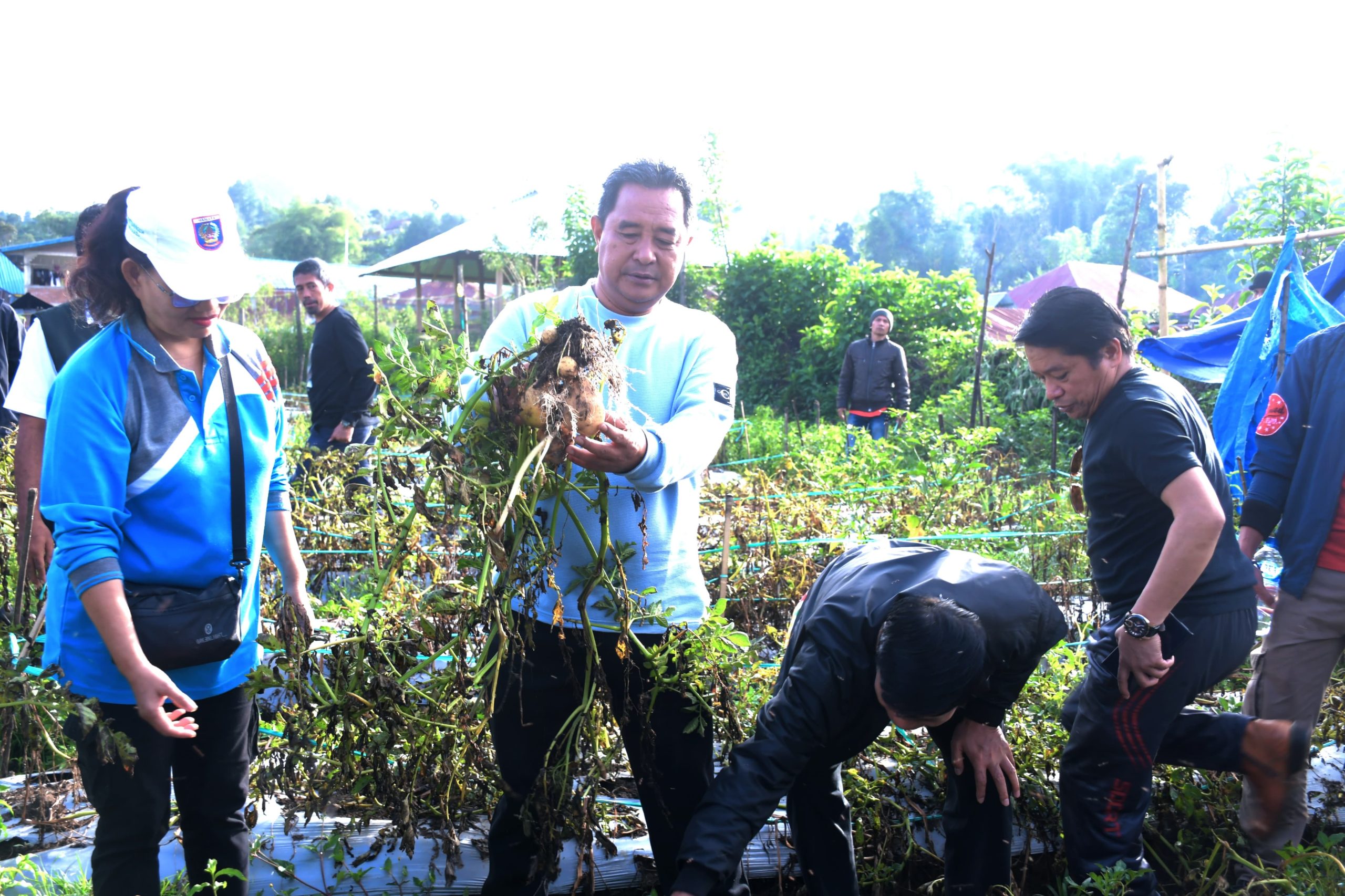 Pemprov Akan Bagi Bibit Hortikultura, Ini Imbauan Pj Bahtiar