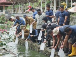 DKP Prov Sulbar Sudah Membagi 1,5 Juta Bibit Ikan Nila Kepada Warga Sulbar