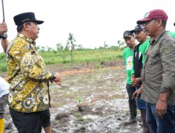 Menanam Cavendish di Polman, Pj Bahtiar Serukan Anak Muda Tidak Perlu Lagi ke Kota Cari Kerjaan
