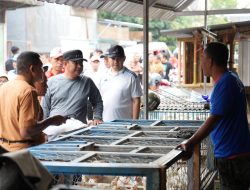 Pj Gubernur Sulbar: Pemerintah Harus Hadir Jaga Harga Pangan di Daerah