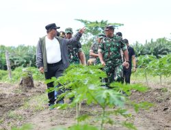 Pj Gubernur Sulbar Apresiasi Perkebunan Beru-beru, Siap Jadi Pusat Ketahanan Pangan