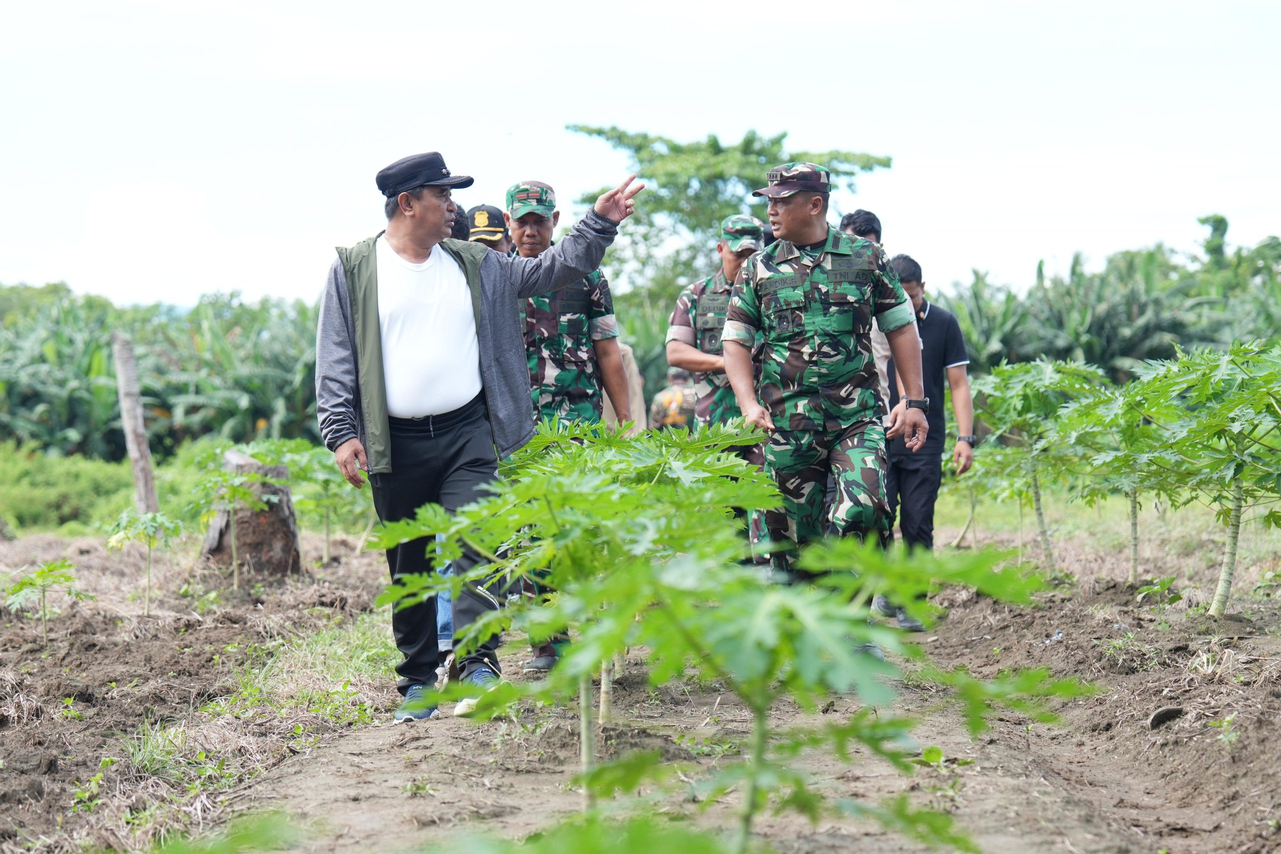 Pj Gubernur Sulbar Apresiasi Perkebunan Beru-beru, Siap Jadi Pusat Ketahanan Pangan