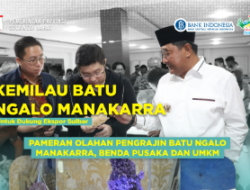 Seribu Lebih Peserta dari Berbagai Provinsi Visit to Sulbar, Siap Ikuti Turnamen Domino Nasional Pemprov Sulbar
