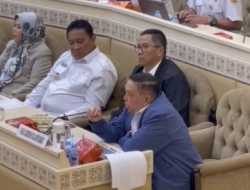 Wagub Sulbar Sampaikan Isu Strategis Pembangunan Daerah di Komisi II DPR RI